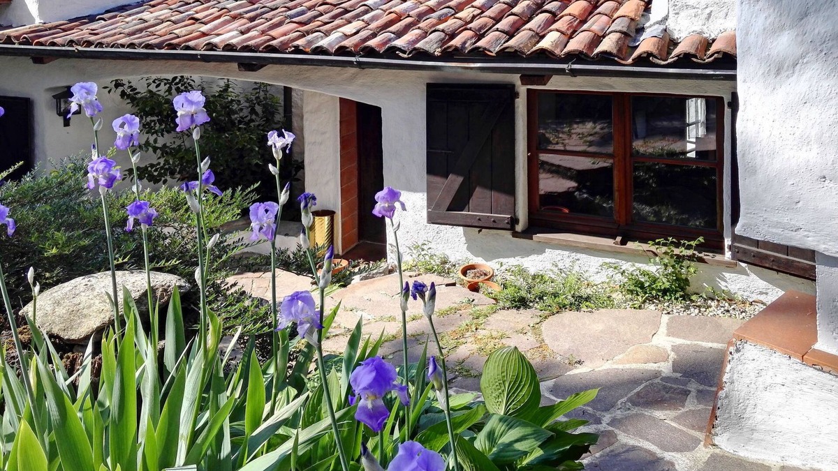 Arolo House | Casa del Pittore by Interhome