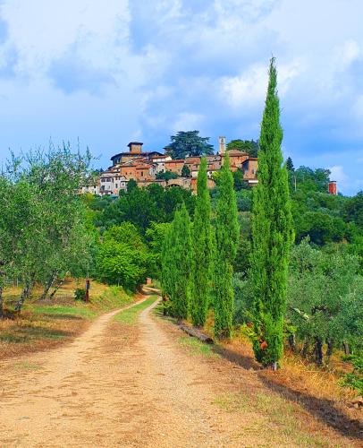 Montegonzi House | Casa di Laura in Chianti - large & charming house (host 7 people)