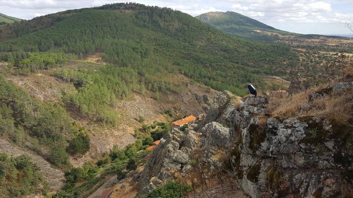 Penha Garcia House | Casa do Alecrim a vacation home with two bedrooms and four beds