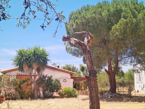 Colegio House | Casa do Avô António