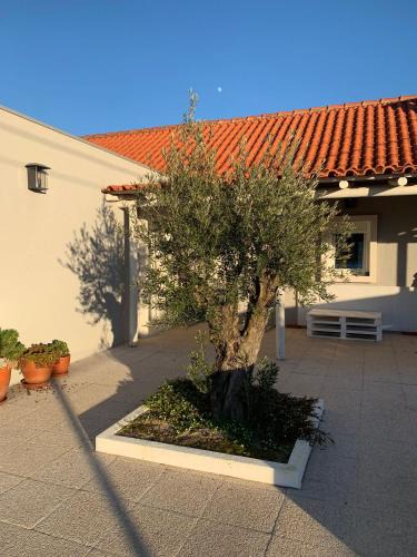 Vendas Novas House | Casa do Avô Ezequiel