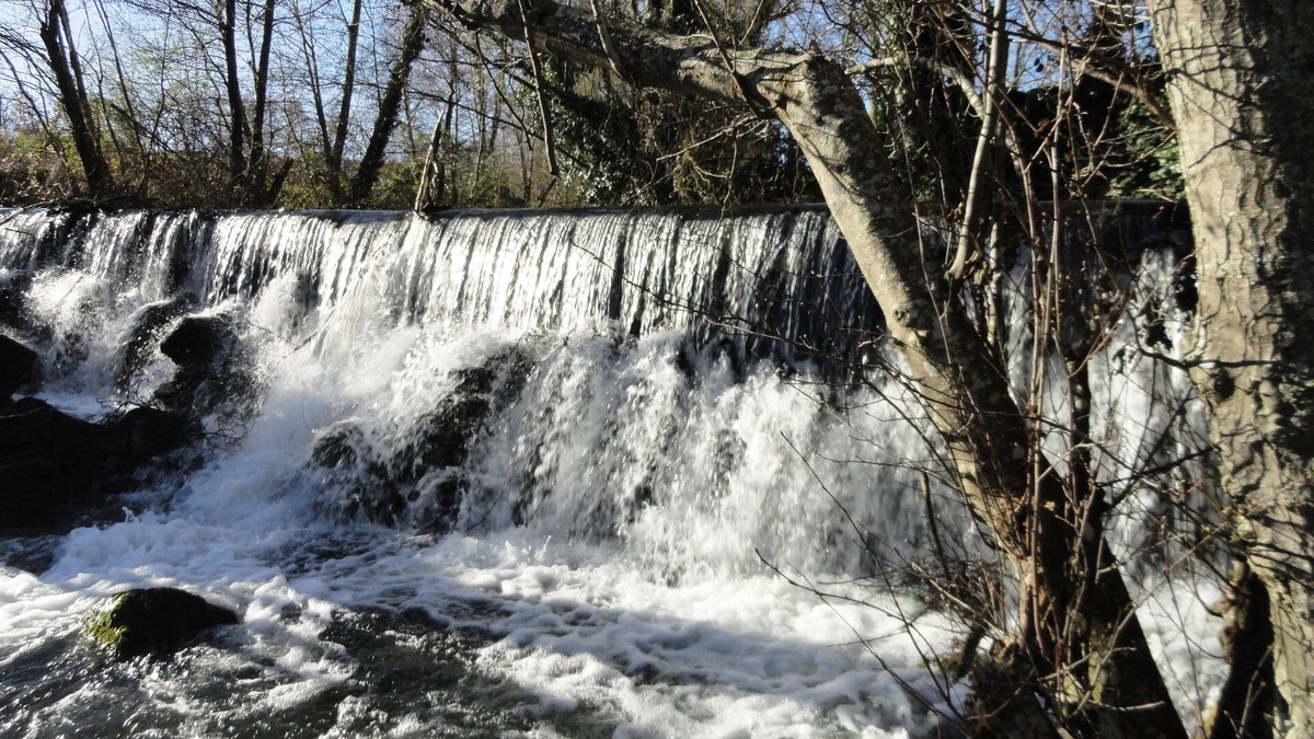 Lajeosa do Mondego Bed & Breakfast | Casa do Brigadeiro