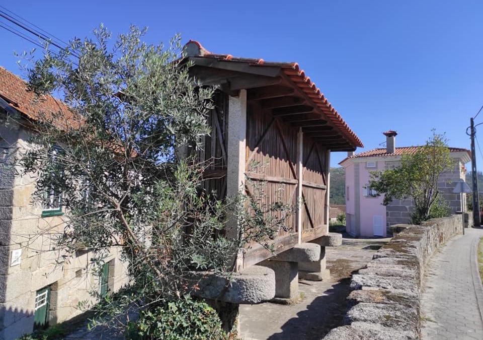 Sao Tiaguinho House | Casa do Canastro