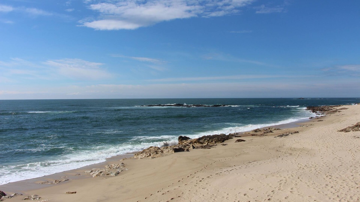 Vila Cha House | Casa do Facho - Next to Vila Chã beach, 15 km from Porto Airport