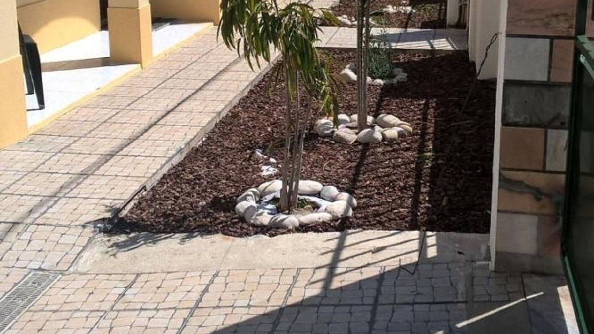 Quinta Do Conde House | Casa do Limoeiro - Ground floor