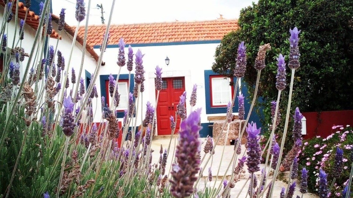 Setubal House | Casa Do Moleiro