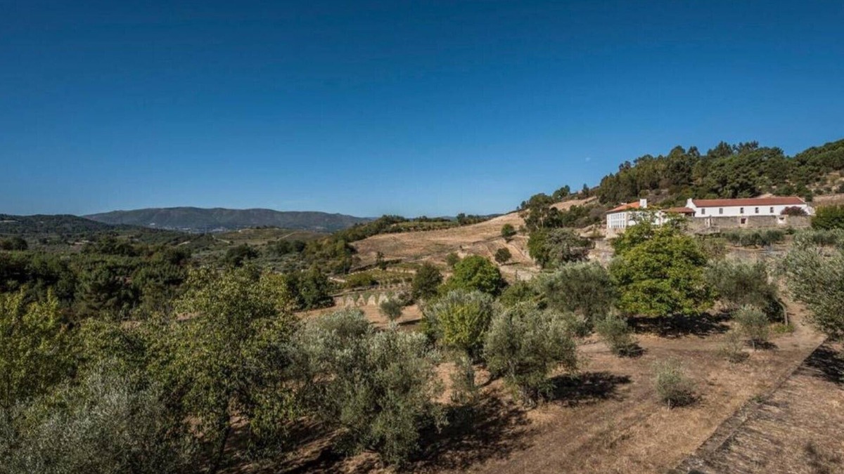 Cimbres House | Casa do Olival One-Bedroom Studio