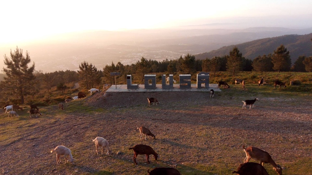 Lousa Villa | Casa do Pastor (Lousã)