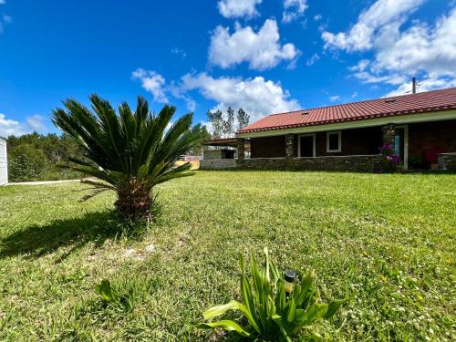 Olalhas House | Casa do Pinhal