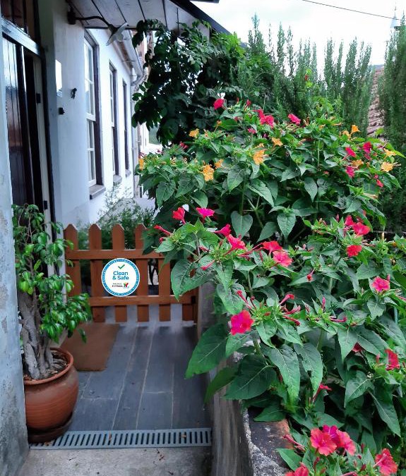 Miranda do Corvo House | Casa do Sr. Falcão