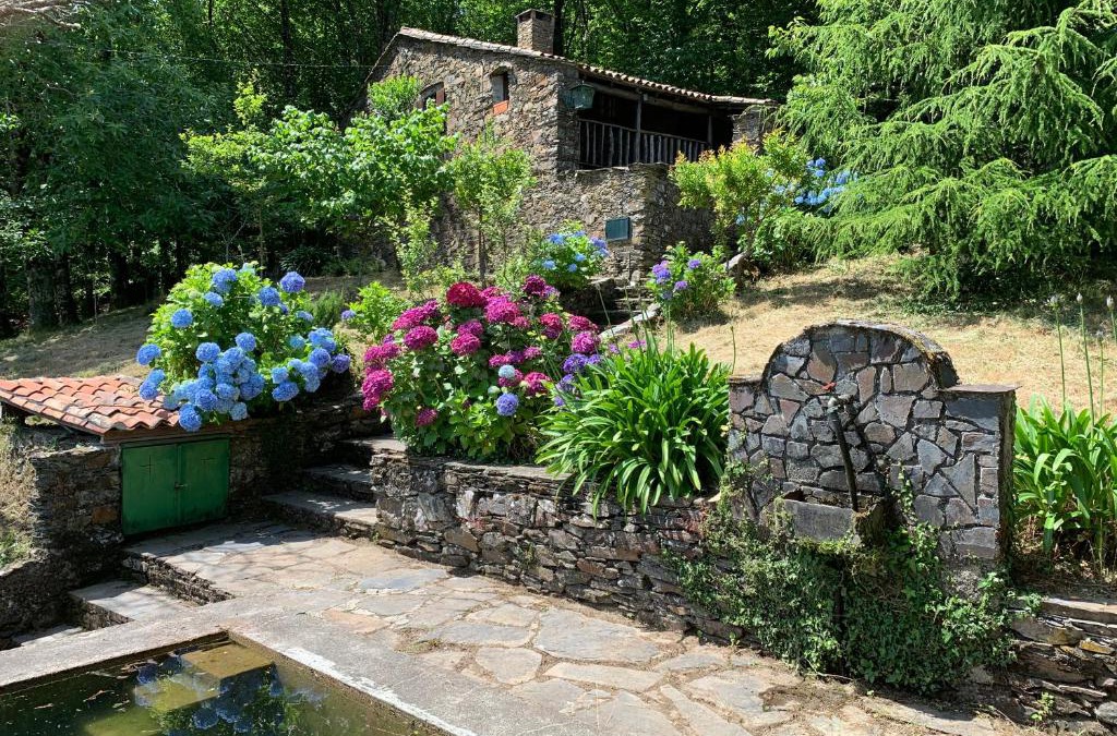 Lousa House | Casa do Tanque