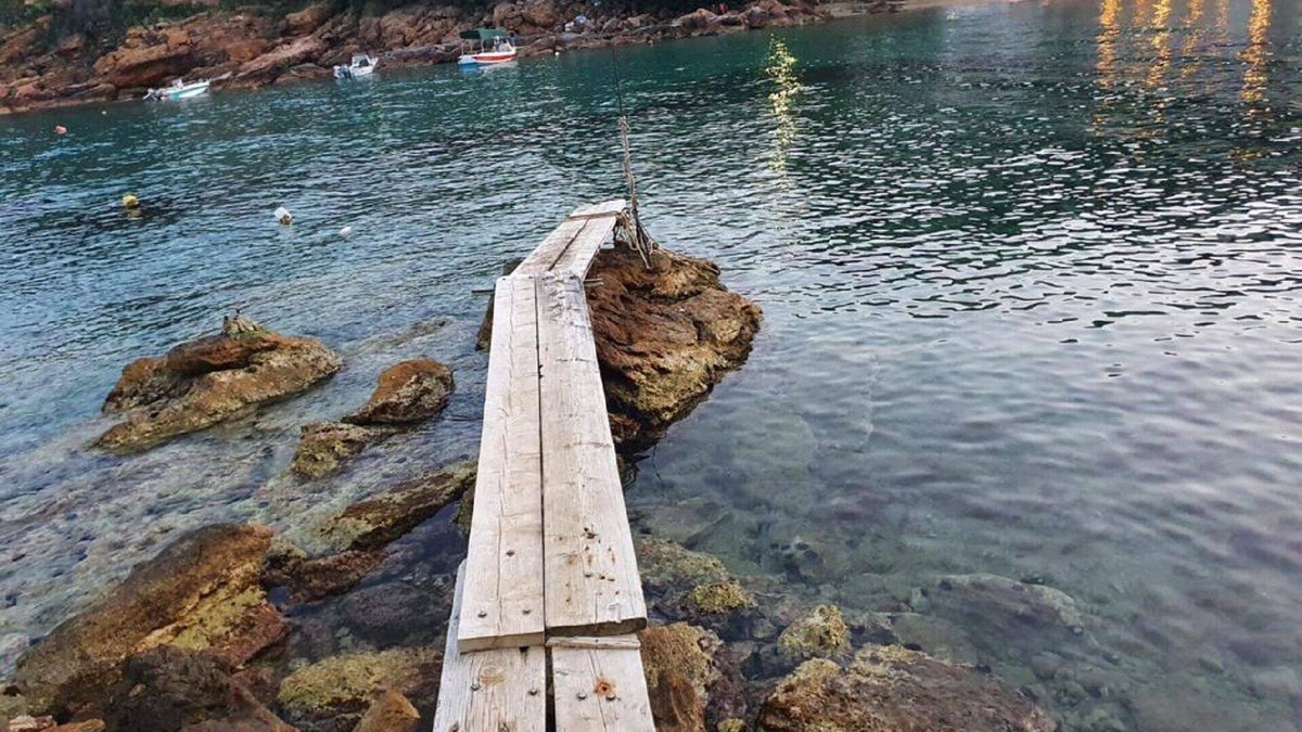 Kali Vrysi Apartment | Casa Dobrescu Katigiorgis 1 room