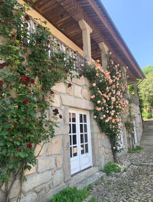 Santo Tirso Villa | Casa dos três rapazes