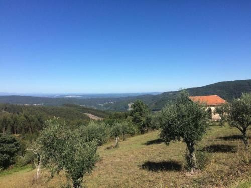 Gois House | Casa dos Veados