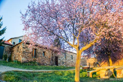 Castrillo De Los Polvazares House | Casa Somoza