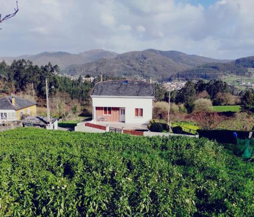 Viveiro House | Casa familiar con finca privada (Orolterra)