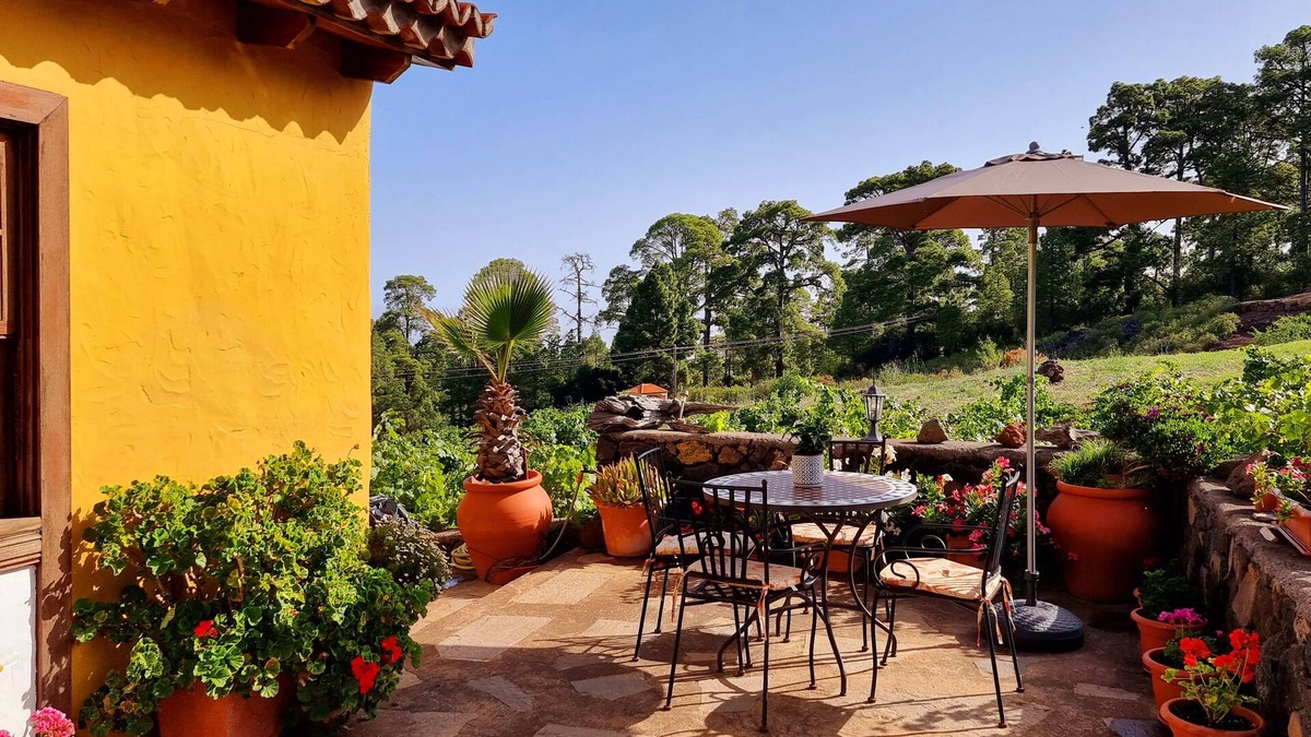 Puntagorda Cottage | Casa Federico, surrounded by pine forests and vineyards in Puntagorda, island of La Palma