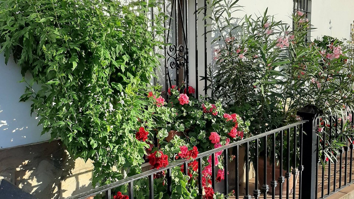 Gaucin House | Casa Fefi.Cosy Home 3 Bedroom Spectacular Balcony views