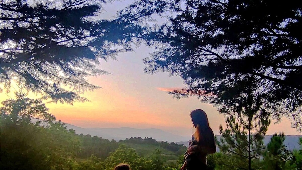 Tarouca Cottage | Casa Florestal @quintafelizardas