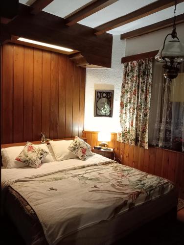 Vodo Cadore Apartment | Casa Francesco