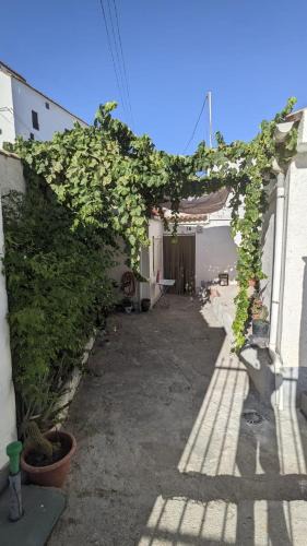 Moclin House | Casa Frasquita