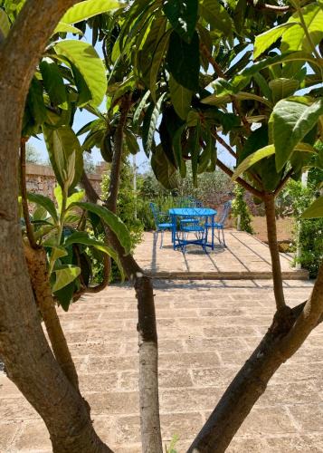 Chiesanuova Villa | Casa Giardino