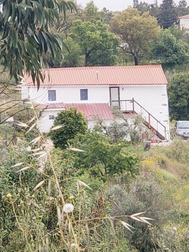 Macao Apartment | Casa Hortensia