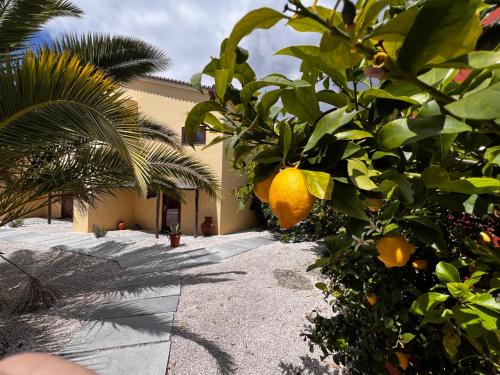 Castelo de Vide Apartment | Casa Hridaya