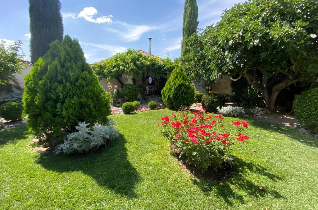 Coca House | Casa Jardín El Arco