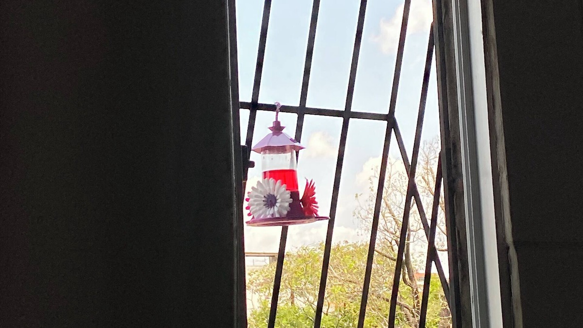 Centro Apartment | Casa Joana/conforto e Segurança