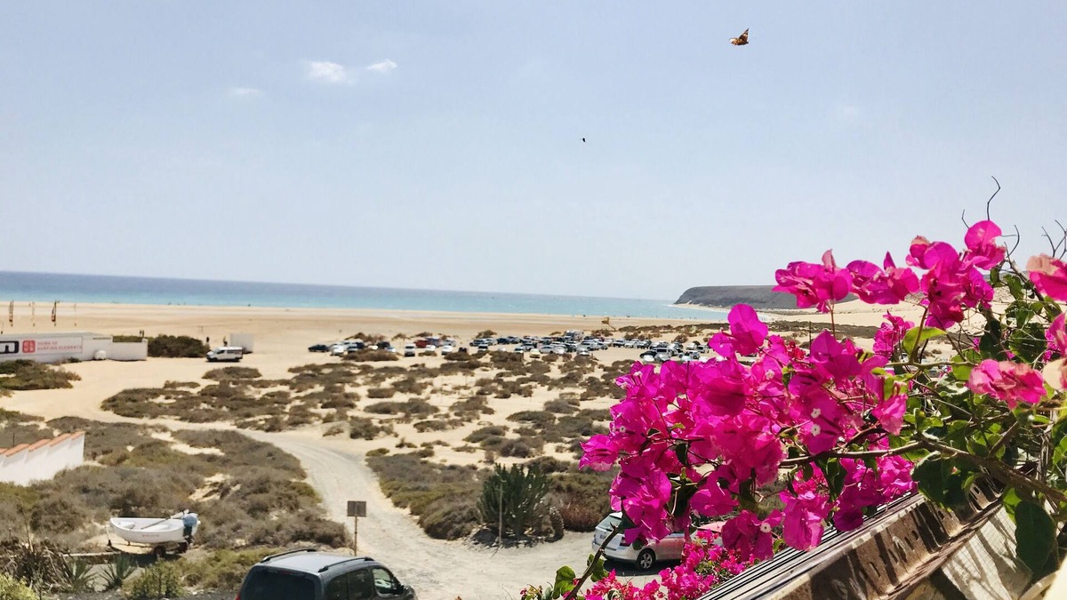 Pajara Apartment | Casa Laguna Studio Risco del Paso Sotavento