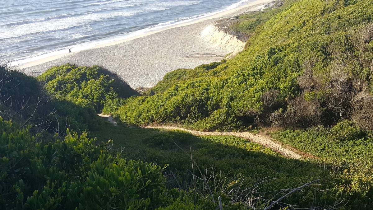 Vale Furado Apartment | Casa litoral sea view
