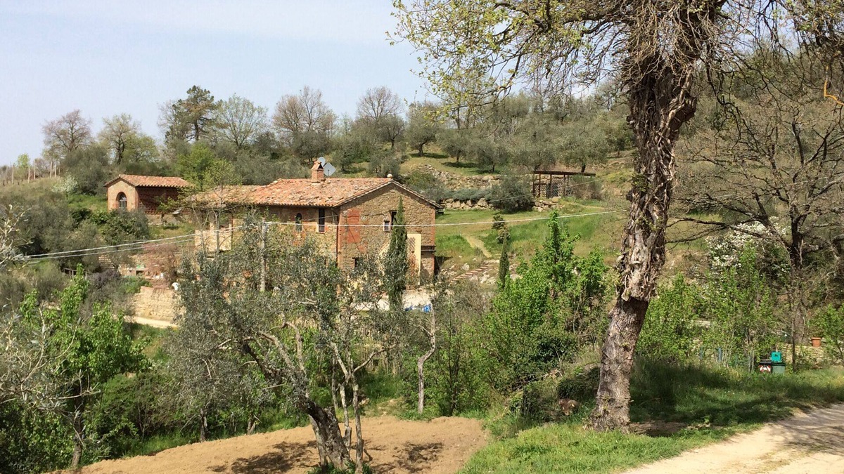 Panicale Other | CASA LORENZO ~ WHOLE FARMHOUSE with stunning large Roman pool set in olive grove