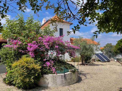 Curia House | Casa Luis Pato