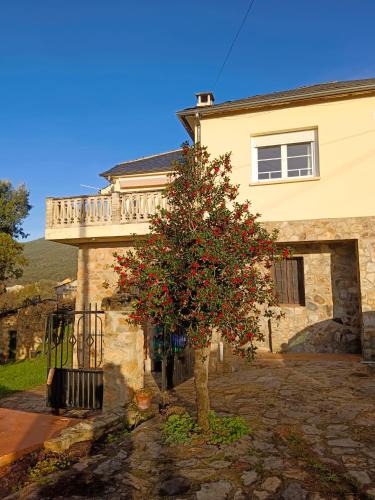 Carucedo House | Casa Macías