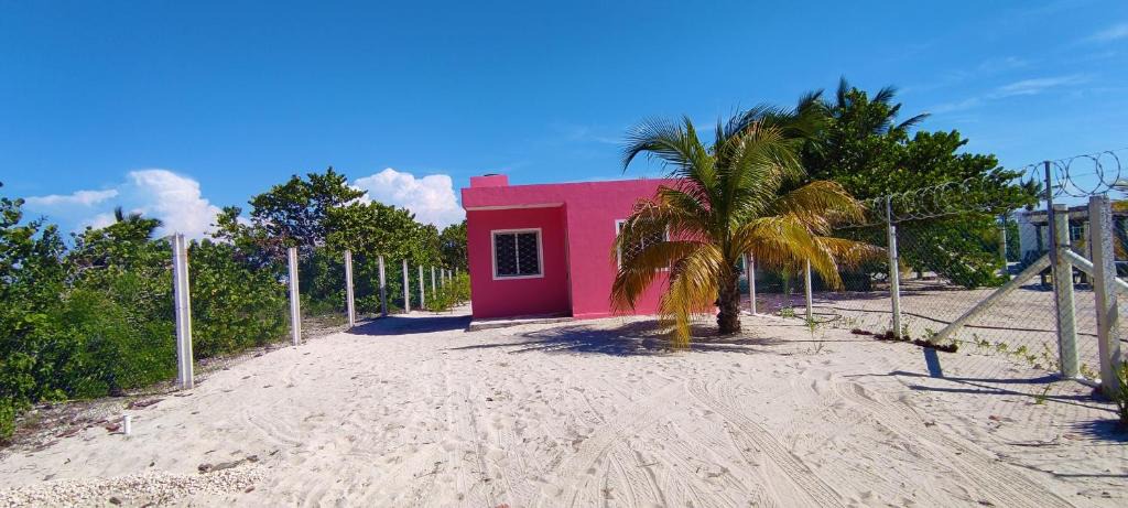 Puerto Yucalpeten House | Casa Mahe, Chelem, Yucatán