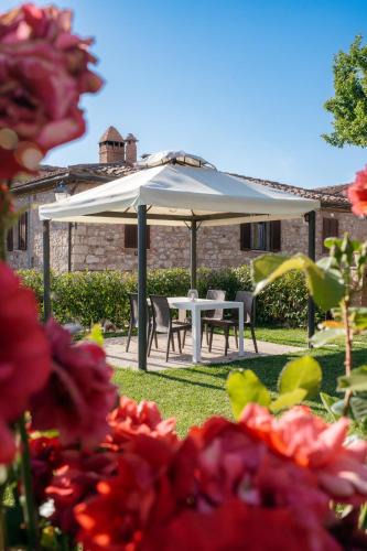 Villa A Sesta Apartment | Casa Matilde Chianti - Jeky Stay