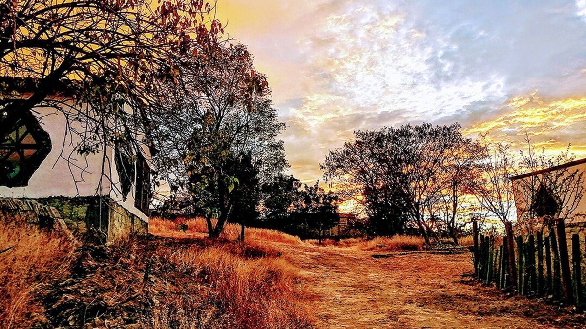 Teotitlan del Valle Cottage | Casa Montagnola: nature and tranquility