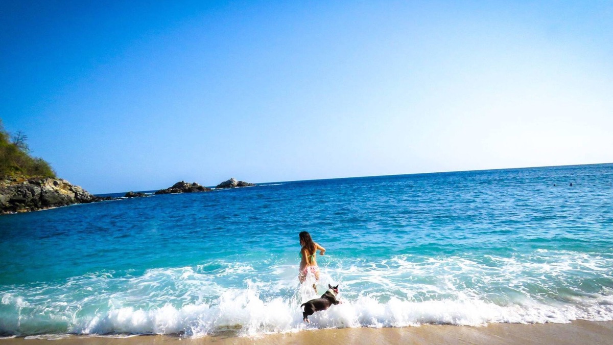 Arroyo Cruz Cabin | Casa Morena