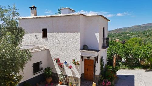 Nechite House | Casa Número 4