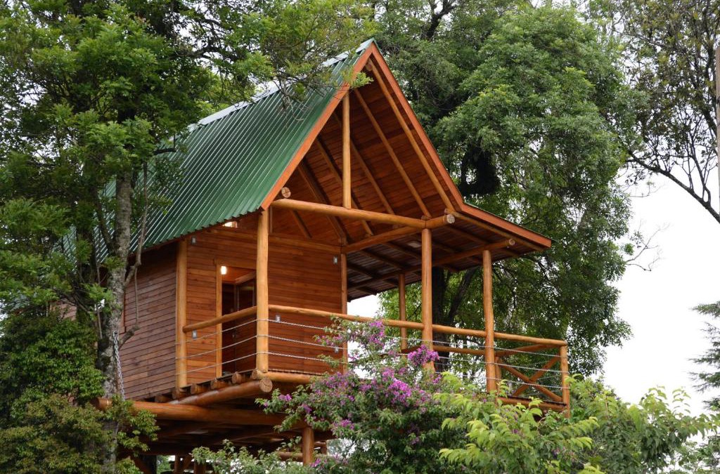 Joao Alves House | Casa na Árvore