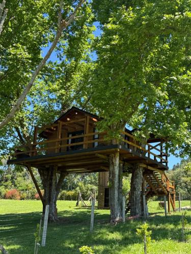 Restinga Ski Chalet | Casa na Árvore - Radosti Experiência