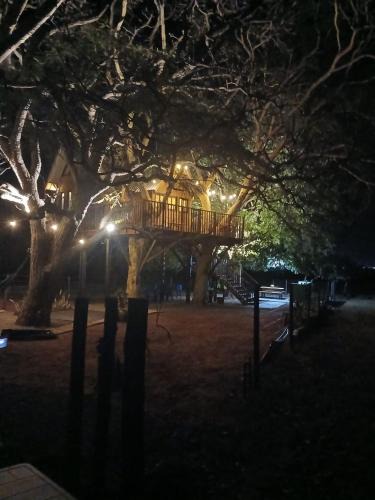 Santa Clara d'Oeste Cabin | Casa na arvore Dream tree house