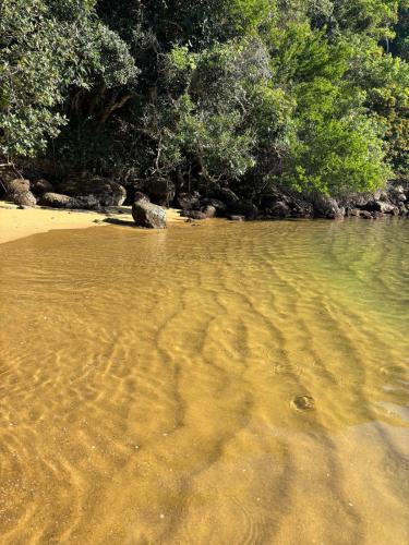 Paraty House | Casa natureza viva