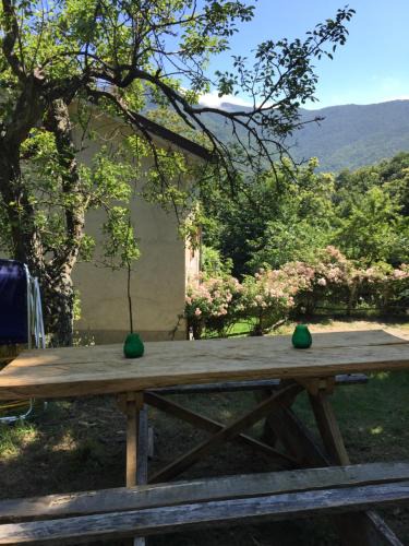 Osiglia House | Casa nel bosco
