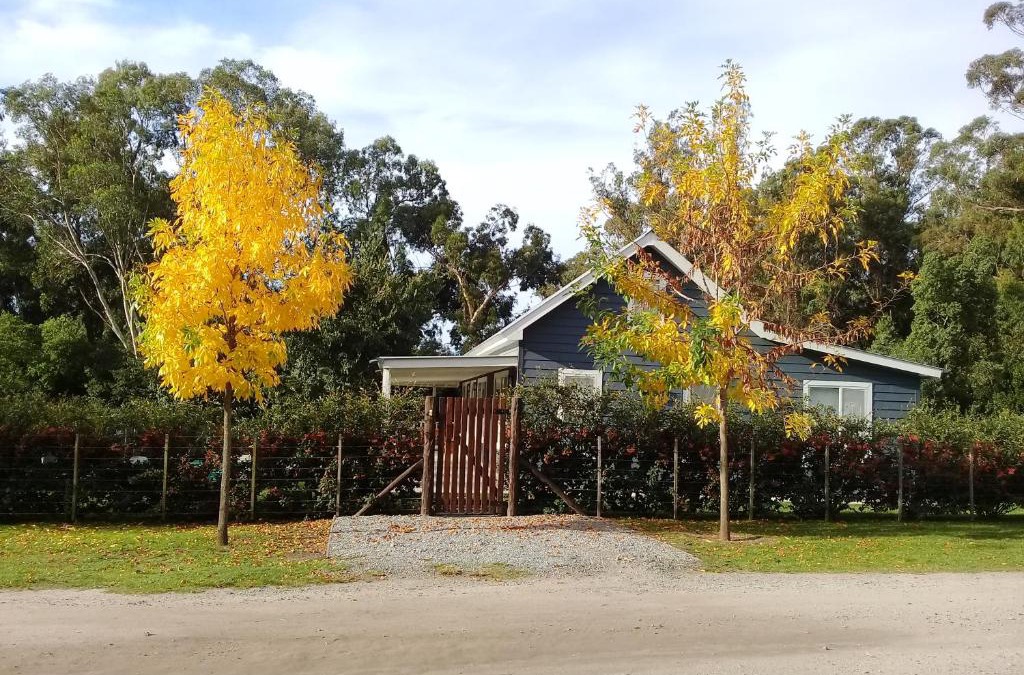 Tandil House | Casa Nueva Zelanda