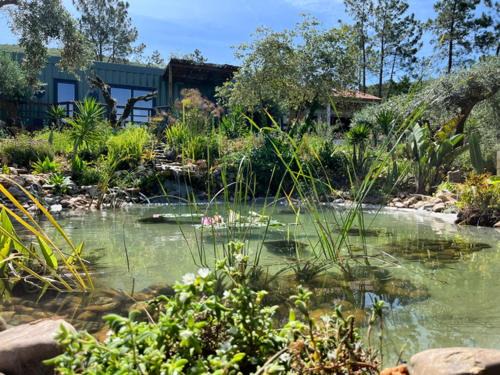 Pedreiras Apartment | Casa Oliva - Casa do Lago