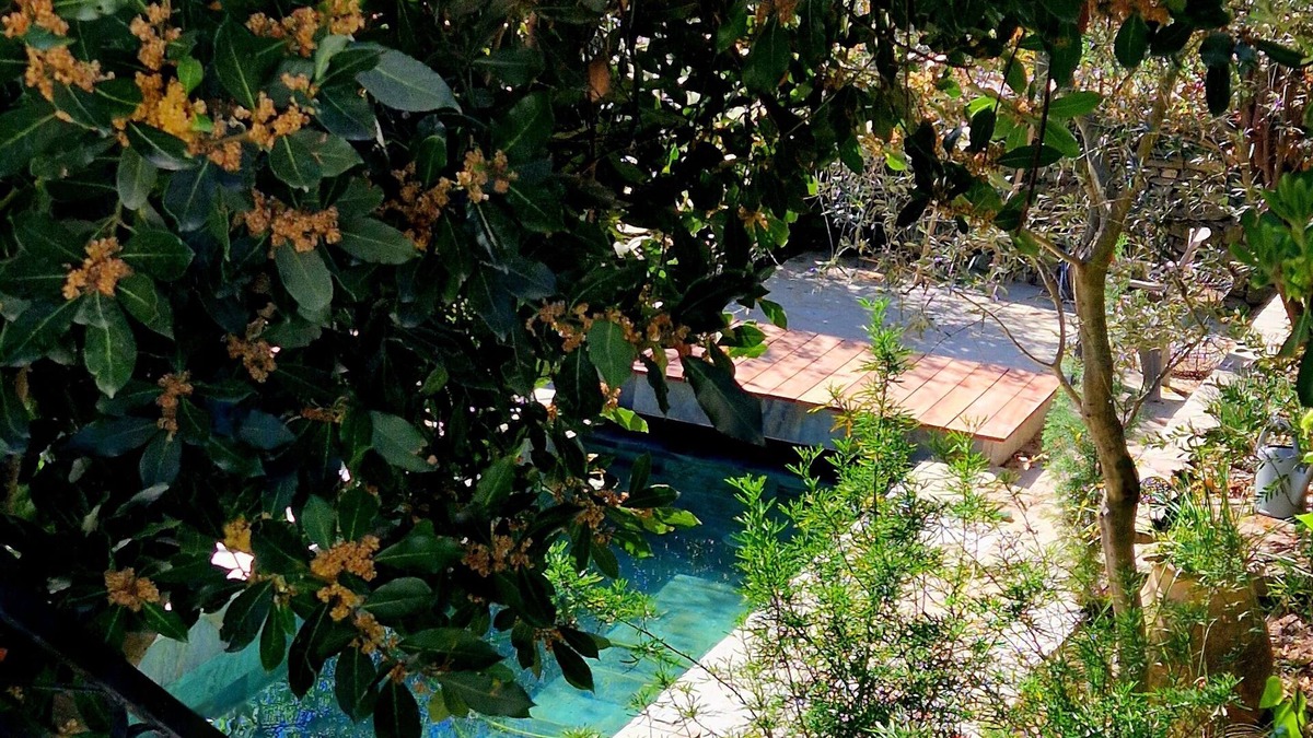 Santo-Pietro-di-Tenda Villa | Casa Olmu and its garden in the heart of Conca D'oru, charming apartment