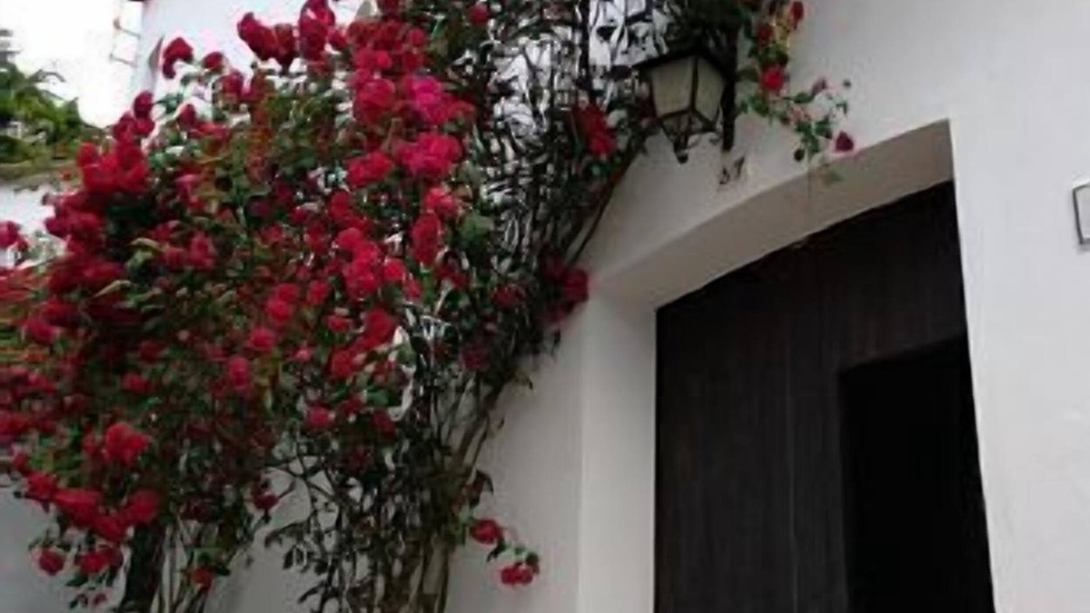 Fuenteheridos Cottage | Casa Onuba: beautiful country house for large groups