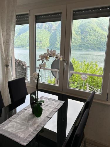Albogasio Apartment | Casa Orchidea